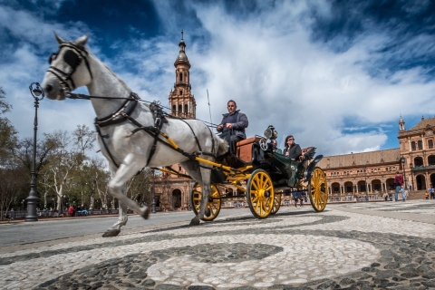 Von der Costa del Sol: Sevilla und der Königspalast AlcázarPrivate Tour mit Abholung in Malaga