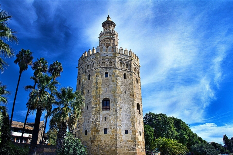 From Costa del Sol: Seville and Royal Alcázar Palace Private tour with pickup in Malaga