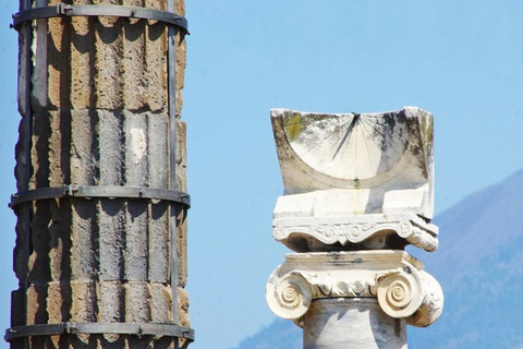 Desde Nápoles: tour de Pompeya y Herculano con almuerzo local