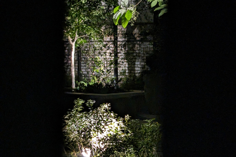 Spirit Xperience: Paranormal Walking Ghost Tour in Savannah