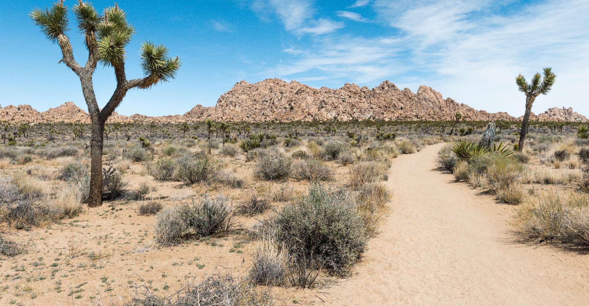 Joshua Tree National Park, Self-Driving Audio Tour - Housity