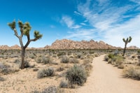 Parque Nacional Joshua Tree, Tour de audio sin conductor - Housity