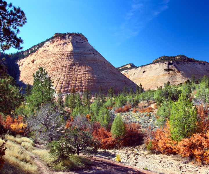Zion National Park: Self-Driving Audio Guided Tour