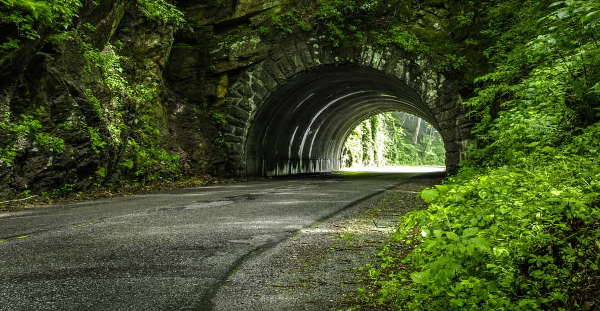 Great Smoky Mountains National Park Self-Guided Driving Tour | GetYourGuide