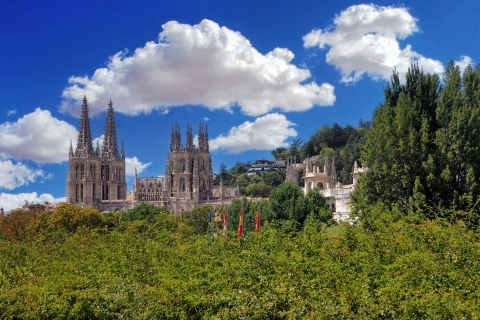 Desde Madrid: tour privado de Burgos con entrada a la catedralOpción estándar