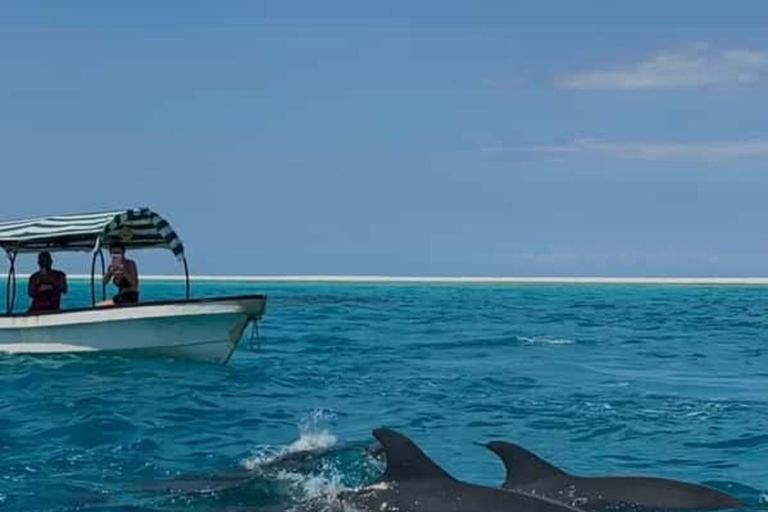 Mnemba Island Snorkeling, Sea Turtles & The Rock Restaurant