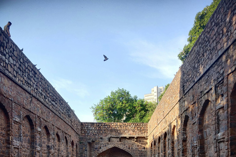 Old and New Delhi Private Same-Day Tour with Pickup Private Tour Guide Only
