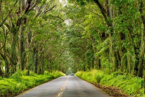 Kauai: tour de conducción de audio autoguiado por lo más destacado de la isla