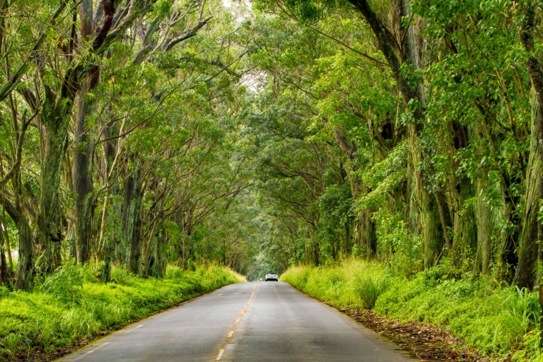 Kauai: Selbstgeführte Audio-Fahrtour zu den Highlights der Insel
