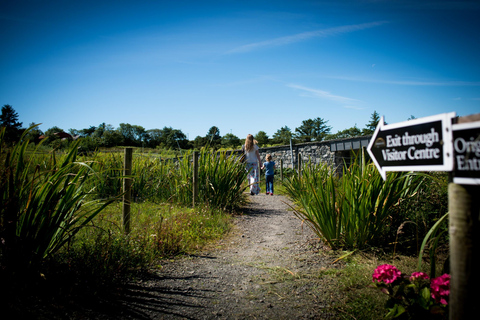 Doolin Cave Tour: Experience Europe's Largest Stalactite