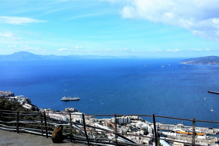 Z Malagi lub Marbelli: prywatna wycieczka po GibraltarzeZ Malagi: wycieczka półdniowa