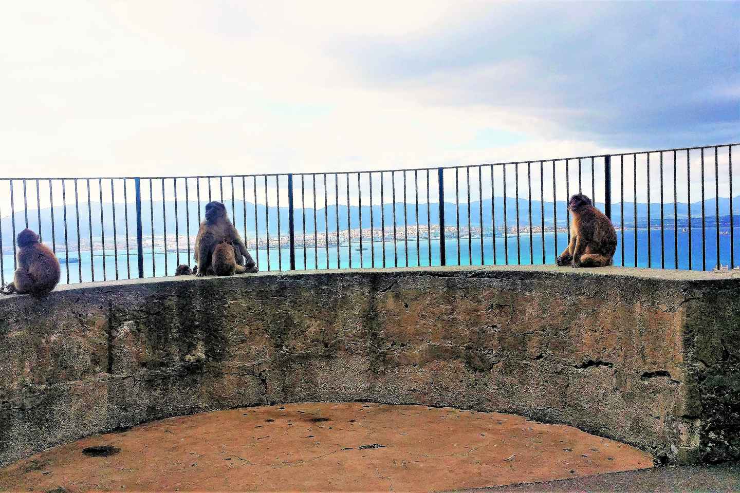 Частный тур в Гибралтар из Малаги или Марбельи