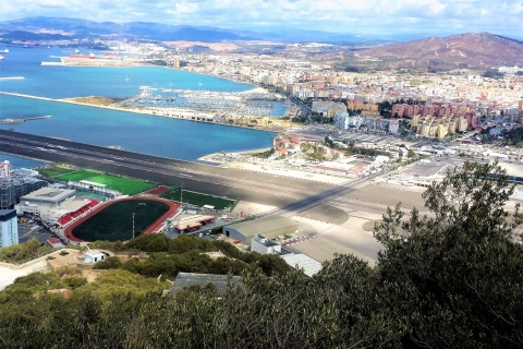 Z Malagi lub Marbelli: prywatna wycieczka po GibraltarzeZ Malagi: wycieczka półdniowa