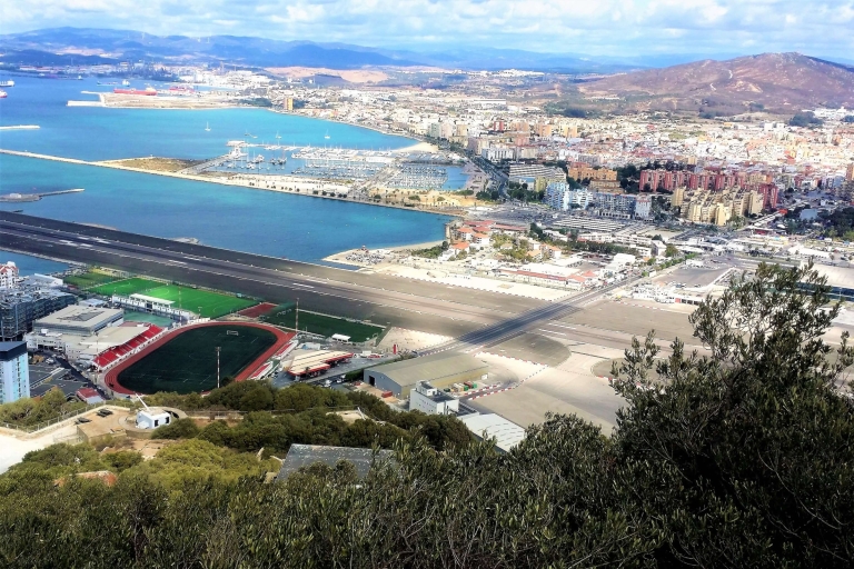 Depuis Málaga ou Marbella : visite privée de GibraltarDe Malaga: excursion d'une demi-journée
