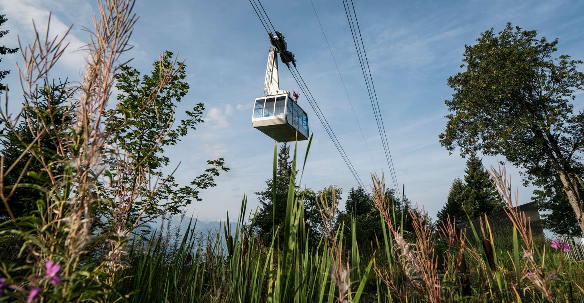 From Lucerne, Mount Rigi Day Trip with Cruise and Cable Car - Housity