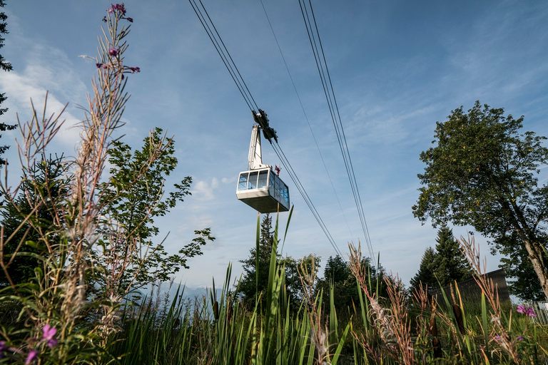 Från Luzern: Dagsutflykt till Rigiberget med kryssning och linbanaFrån Luzern: Rigi dagstur med kryssning och linbana