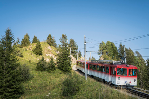 Da Lucerna: Escursione al Monte Rigi con crociera e funiviaDa Lucerna: gita di un giorno al Monte Rigi con crociera e funivia