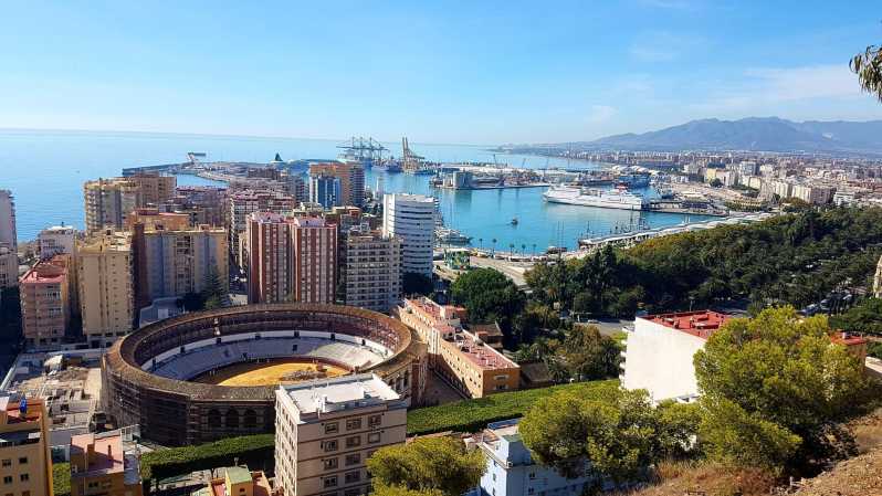 Málaga: Yksityinen Gibralfaron näköalapaikka ja Alcazaba-opastettu kierros  | GetYourGuide