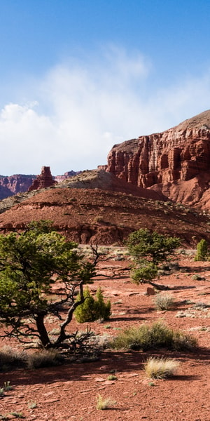 Utah: Mighty 5 National Parks Self-Driving Audio Tour | GetYourGuide