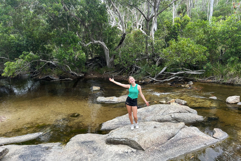 Cairns: Half-Day Premium 4WD Rainforest & Waterfall Tour Half Day Tour