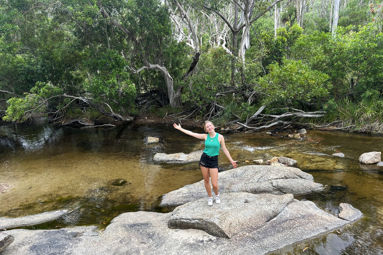 Cairns: Half-Day Premium 4WD Rainforest & Waterfall Tour Half Day Tour