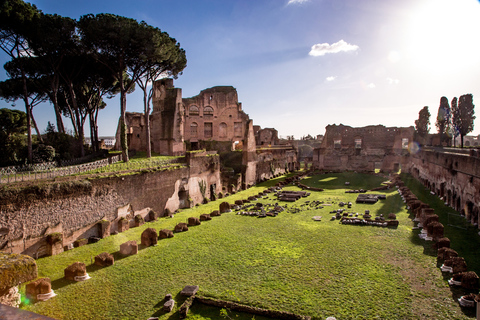 Rome: Colosseum, Roman Forum, and Palatine Hill Guided TourRome: Colosseum, Roman Forum, and Palatine Hill Small Group