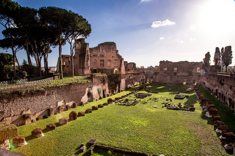 Rome: Colosseum, Roman Forum, and Palatine Hill Guided TourRome: Colosseum, Roman Forum, and Palatine Hill Small Group