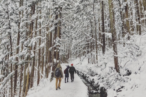 Nagano: Tagestour zu Schneeaffen, Zenkoji-Tempel und SakeGruppentour mit Shuttle ab Nagano
