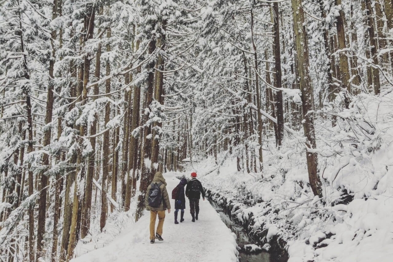 Nagano : Excursion d'une journée aux singes des neiges, au temple Zenkoji et au sakéVisite en groupe avec transfert en navette depuis Nagano