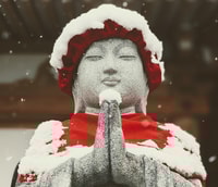 Nagano, Snow Monkeys, Zenkoji Temple & Sake Day Trip - Housity