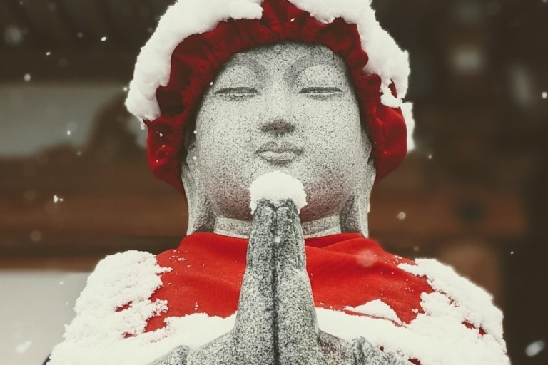 Nagano: Śnieżne małpy, świątynia Zenkoji i 1-dniowa wycieczka na sakeWycieczka grupowa z transferem z Nagano