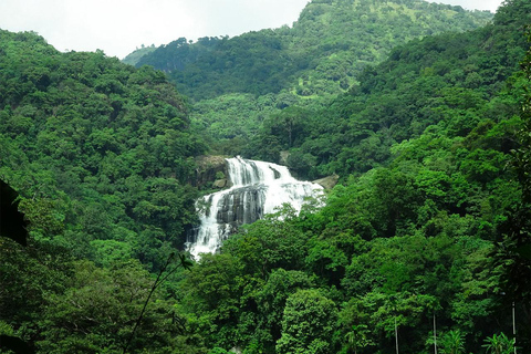 From Kandy: Wasgamuwa Safari & Rathna Ella Waterfall Tour