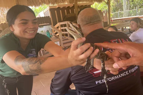 Miami: Excursão de meio dia aos Everglades em francês