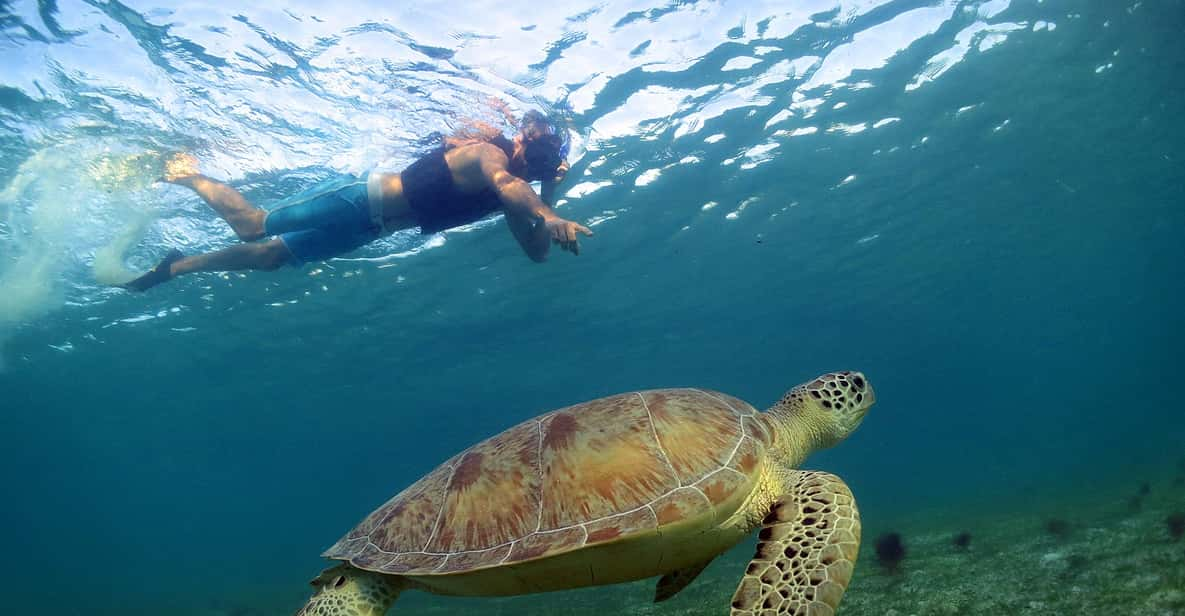 Snorkeling Experience In Cancun | GetYourGuide