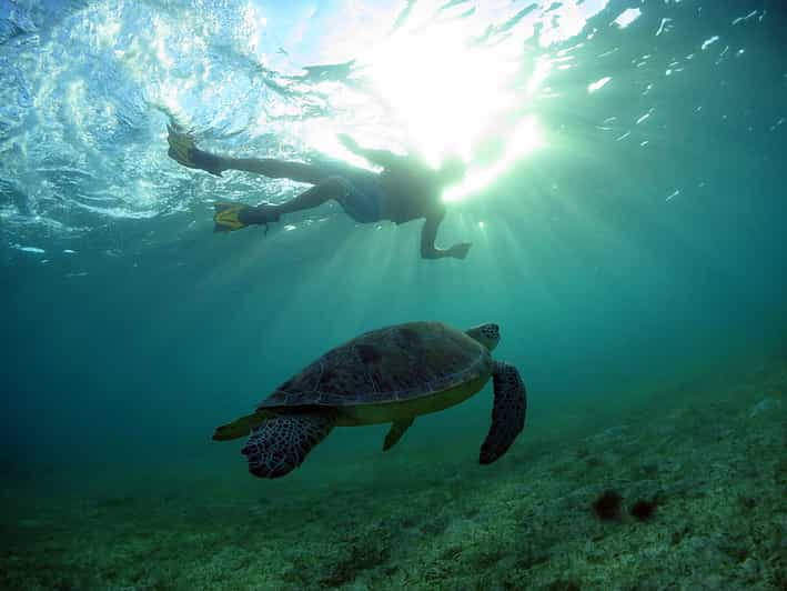 Snorkeling Experience In Cancun | GetYourGuide