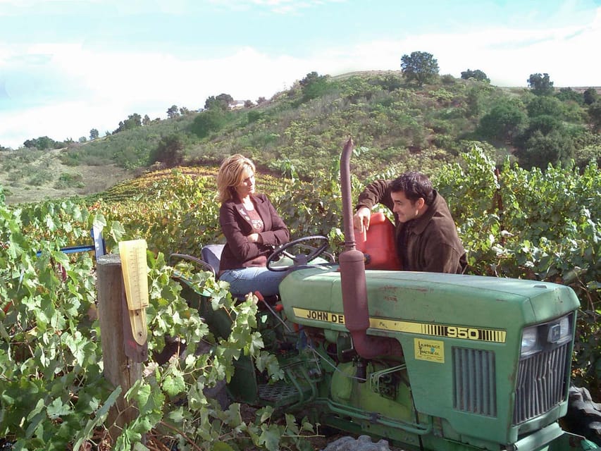 Paso Robles Wineries Day Trip with Picnic Lunch GetYourGuide