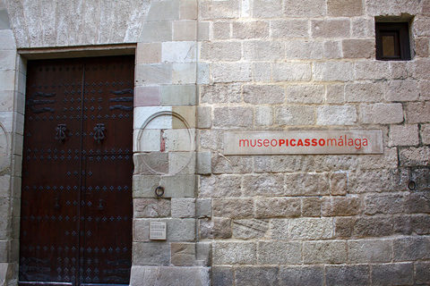 Málaga: visita guiada al Museo Picasso con entrada sin colas