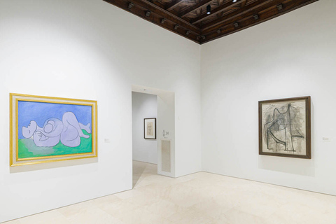 Málaga: visita guiada al Museo Picasso con entrada sin colas