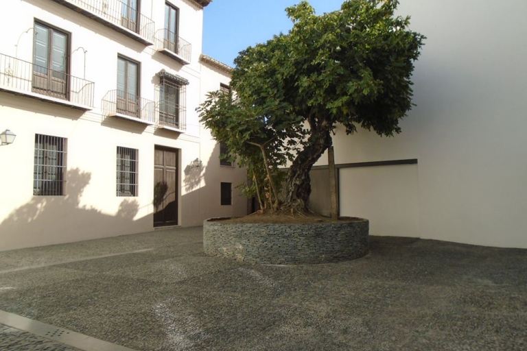 Malaga : visite guidée du musée Picasso avec billet coupe-file