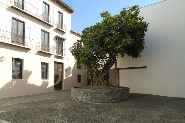 Malaga: Tour guidato del Museo Picasso con biglietto di ingresso prioritarioTour in spagnolo