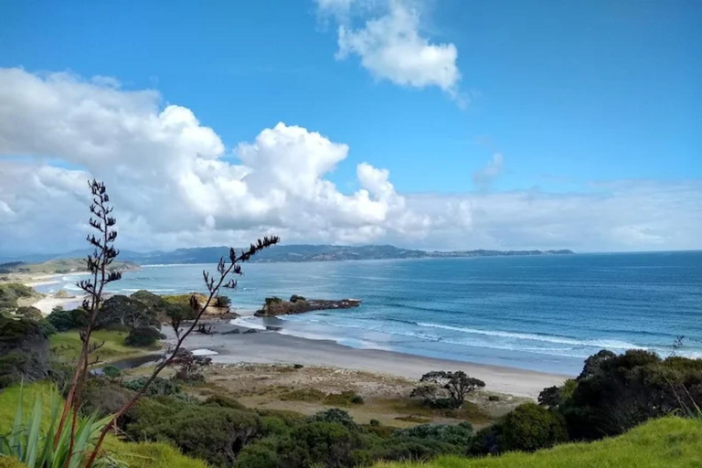 From Auckland: Kiwi Wilderness Experience Guided Tour