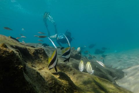 Kosi Bay: Snorkeling Adventure with Hot Drink