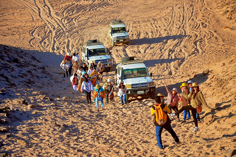 Hurghada: Safári em jipe, passeio de camelo e jantar com churrasco