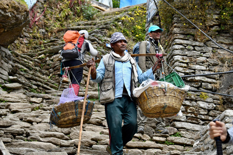 Caminhada guiada de 4 dias pelo fascinante Mardi Himal em Pokhara