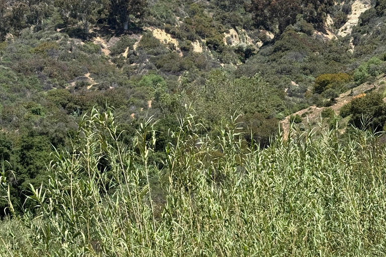 Los Angeles: Private Hiking Tour with Hotel Pickup