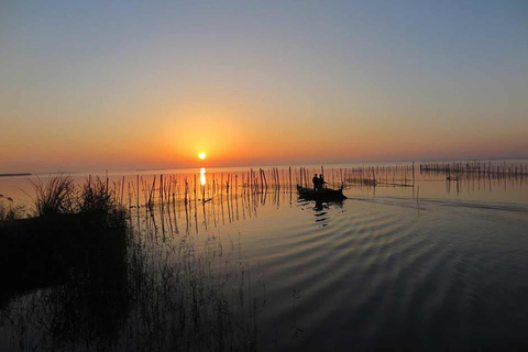 Valencia: Giro in barca dell&#039;Albufera, Paella e tour al tramonto incluso