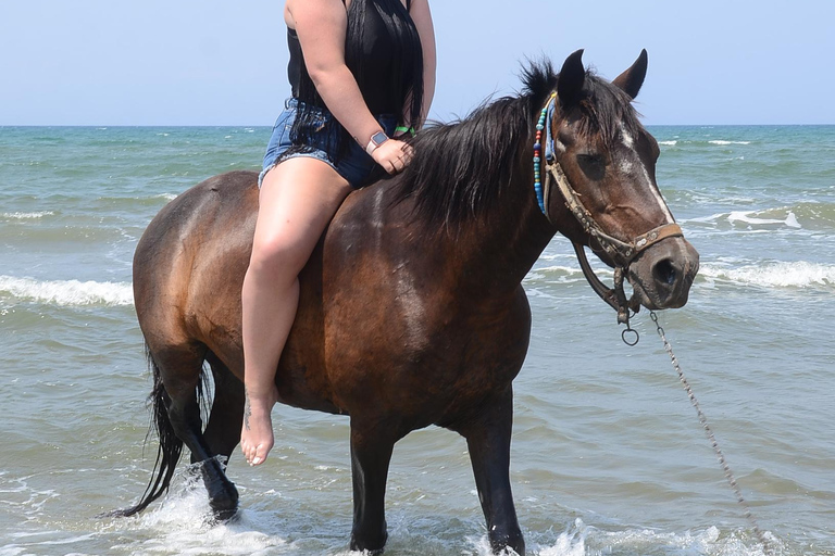 Pamucak: Horseback Riding Tour with Beach Swim