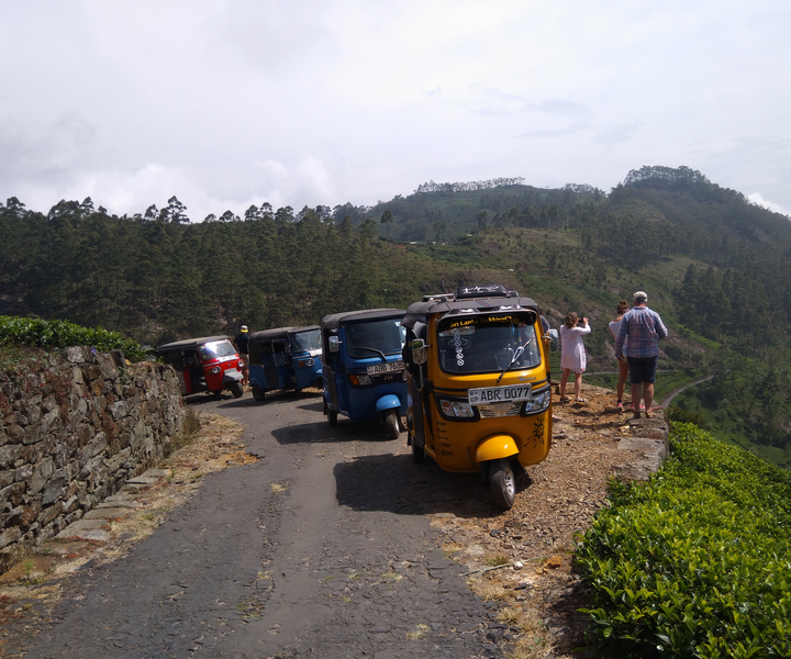 Haputale: Ella, Small Adam's Peak, & Nine Arches Bridge Hike