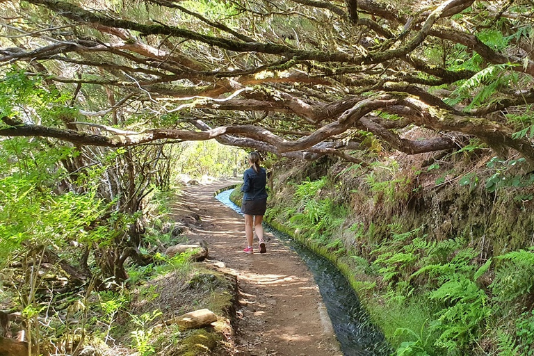 Madeira: Jeep 4x4 Old Forest Safari Tour met Pico Arieiro