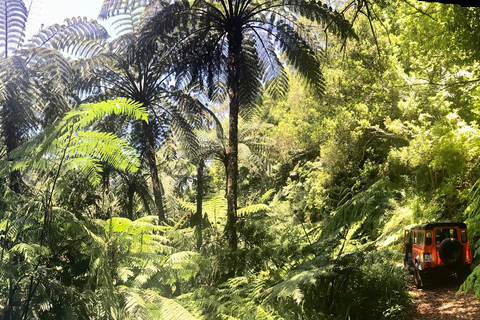 Madeira: Jeep 4x4 Old Forest Safari Tour with Pico Arieiro